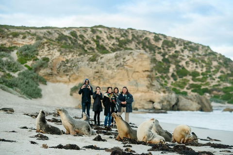 Small-Group Kangaroo Island 4WD Tour From Adelaide - Mackay Tourism 4