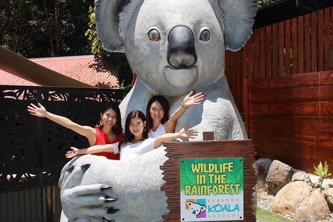 Kuranda Koala Gardens And Birdworld Admission Tickets - Mackay Tourism 3