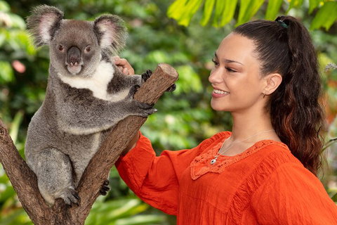 Kuranda Wildlife Experience Three Attraction Pass - Mackay Tourism 4