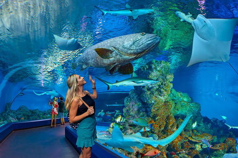 Cairns Aquarium Admission Ticket - Mackay Tourism 3