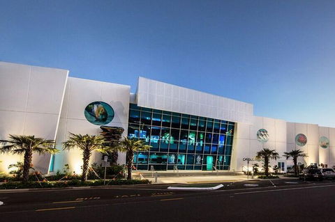 Cairns Aquarium Admission Ticket - Mackay Tourism 4