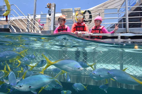 Outer Reef Pontoon Experience From Cairns - Mackay Tourism 0