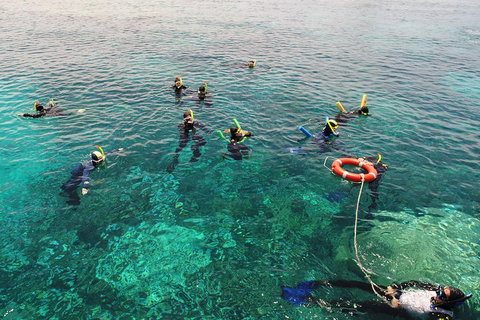 Seastar Luxury Outer Great Barrier Reef Island And Reef Tour From Cairns - Mackay Tourism 2