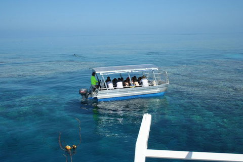 Seastar Luxury Outer Great Barrier Reef Island And Reef Tour From Cairns - Mackay Tourism 5
