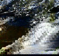 Cradle Mountain Day Tour from Launceston Including Lunch - Mackay Tourism