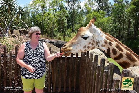 Small-Group Australia Zoo Day Trip From Brisbane - Mackay Tourism 2