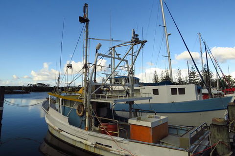 Beyond Byron Hinterland Tour - Mackay Tourism 0