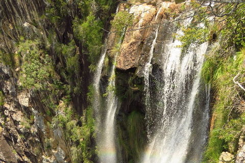 Beyond Byron Hinterland Tour - Mackay Tourism 5