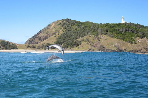 Kayaking With Dolphins In Byron Bay Guided Tour - Mackay Tourism 0
