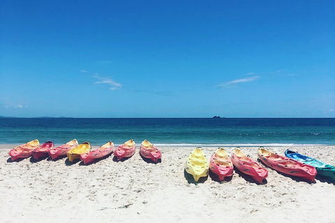 Kayaking With Dolphins In Byron Bay Guided Tour - Mackay Tourism 1