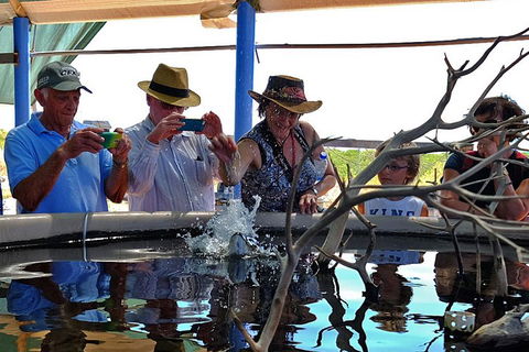 Cape Leveque 4WD Tour From Broome With Optional Return Flight - Mackay Tourism 0