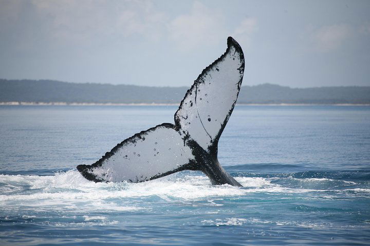  Mackay Tourism