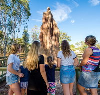Litchfield National Park Waterfalls and Wildlife Tour from Darwin - Mackay Tourism