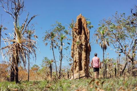 Litchfield National Park Waterfalls And Wildlife Tour From Darwin - Mackay Tourism 4