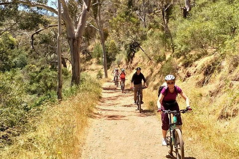 Mount Lofty Descent Bike Tour From Adelaide - Mackay Tourism 3