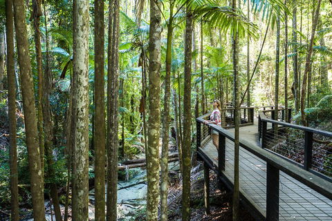 All-Inclusive Fraser Island Day Tour - Mackay Tourism 5