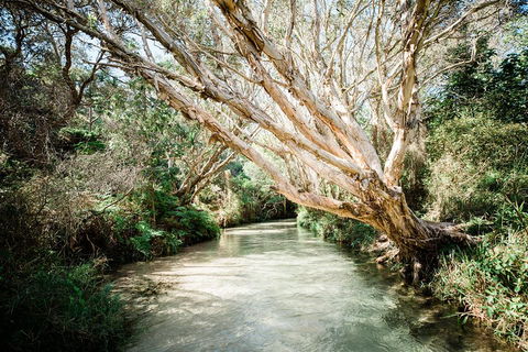 3-Day Fraser Island Resort Package - Mackay Tourism 5