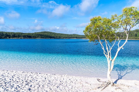 Lake McKenzie Full-Day Tour With Lunch From Hervey Bay - Mackay Tourism 1