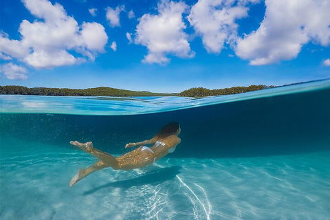 Lake McKenzie Full-Day Tour With Lunch From Hervey Bay - Mackay Tourism 5