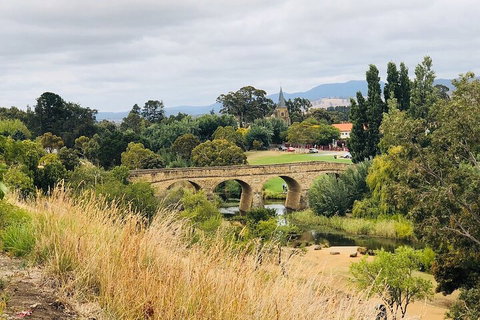 Day Tour In Mt. Field, Mt. Wellington, Bonorong Wildlife Sanctuary And Richmond - Mackay Tourism 3