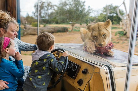 Werribee Open Range Zoo General Admission Ticket - Mackay Tourism 4