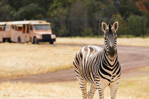 Werribee Open Range Zoo General Admission Ticket - Mackay Tourism 5