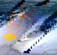 2-Day Moreton Island Tour from Brisbane or Gold Coast with Optional Nighttime Kayaking - Mackay Tourism