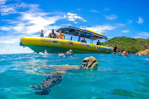 Great Barrier Reef Scenic Flight And Ocean Rafting Whitehaven Beach Day Trip - Mackay Tourism 1