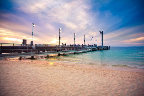 Tangalooma Island Resort Whale Watching Day Cruise With Dolphin Viewing - Mackay Tourism 3