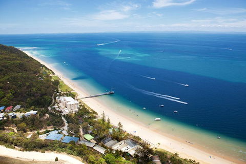 Tangalooma Island Resort Whale Watching Day Cruise With Dolphin Feeding - Mackay Tourism 2