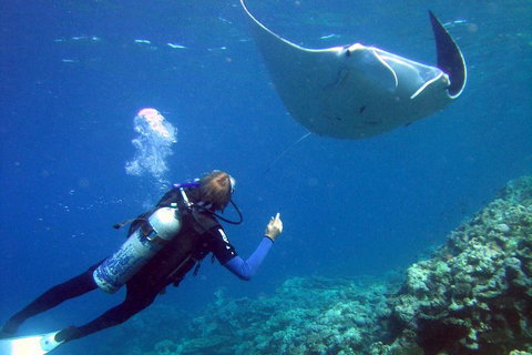 3 Day Whitsundays Sailing And Diving Adventure: Kiana - Mackay Tourism 3