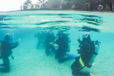 3 Day Whitsundays Sailing And Diving Adventure: Kiana - Mackay Tourism 4