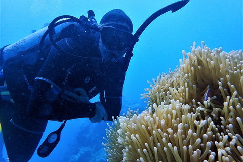 3 Day Whitsundays Sailing And Diving Adventure: Kiana - Mackay Tourism 5