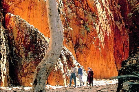 West MacDonnell Ranges Day Trip From Alice Springs - Mackay Tourism 3