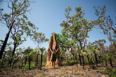 Litchfield National Park - Top End Day Tour From Darwin - Mackay Tourism 5