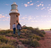 6-Day Coral Coaster from Perth to Exmouth One-Way via Monkey Mia Ningaloo Reef - Mackay Tourism
