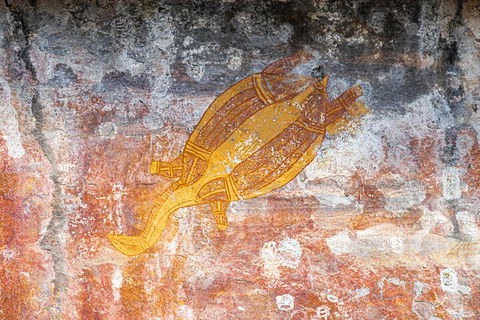 Kakadu Wilderness Escape - Top End Day Tour From Darwin - Mackay Tourism 2