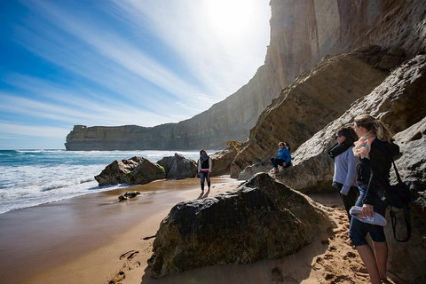 12 Apostles Eco-Friendly Great Ocean Road Iconic Adventure From Melbourne - Mackay Tourism 2