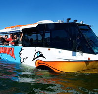 Paradise Jet Boating and Aquaduck Combo - Mackay Tourism