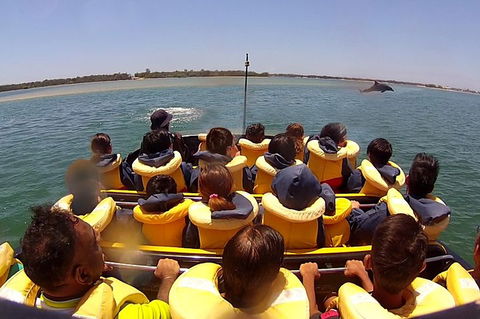 Jet Boat Express Ride - 30mins - Mackay Tourism 5