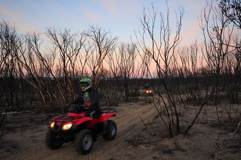 Kangaroo Island Quad Bike (ATV) Tours - Mackay Tourism 1