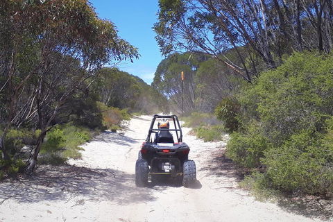 Kangaroo Island Quad Bike (ATV) Tours - Mackay Tourism 4
