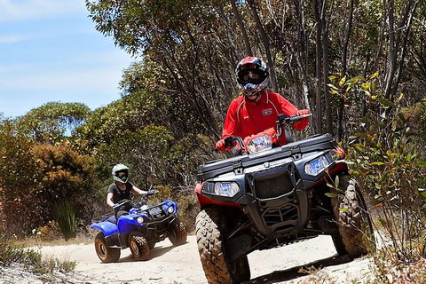 Kangaroo Island Quad Bike (ATV) Tours - Mackay Tourism 5