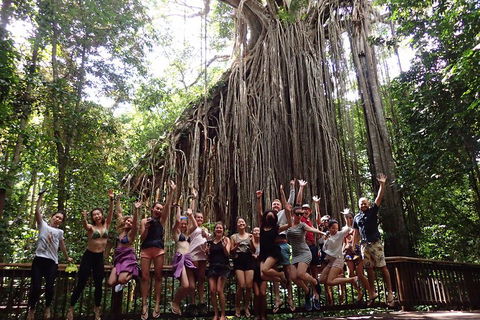 Atherton Tablelands Waterfalls Tour From Cairns - Mackay Tourism 5