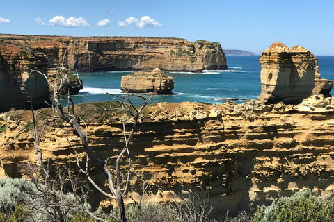 Great Ocean Road Reverse Itinerary Tour - Mackay Tourism 1