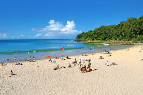 Noosa Everglades Serenity Cruise & Highlights Tour Inc. Lunch & Cruise - Mackay Tourism 4