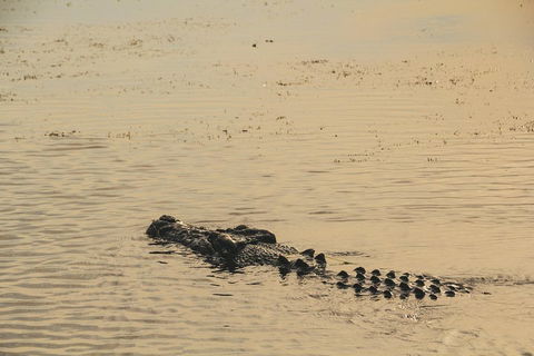 Yellow Water Cruise - Kakadu - Mackay Tourism 2