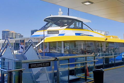 Brisbane City Essentials Walking Tour - Mackay Tourism 3