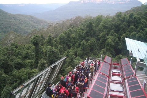 Blue Mountains Private Tour With Wildlife Park And River Cruise - Mackay Tourism 1