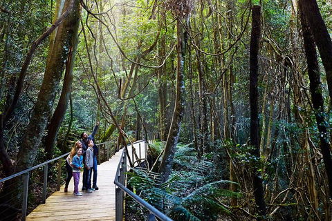 Blue Mountains Private Tour With Wildlife Park And River Cruise - Mackay Tourism 4